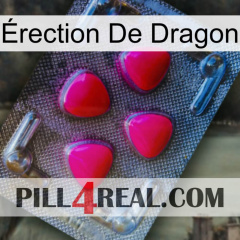 Érection De Dragon 13